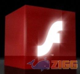 19 adobe flash 2jpg Z529Iza