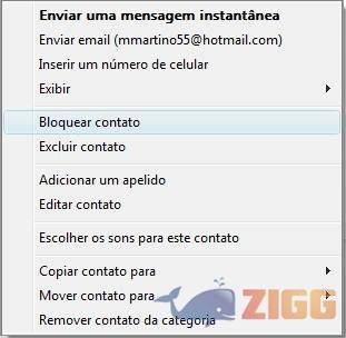 19 bloqueio windows live2jpg VEHjSQb