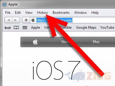limpando historico do safari
