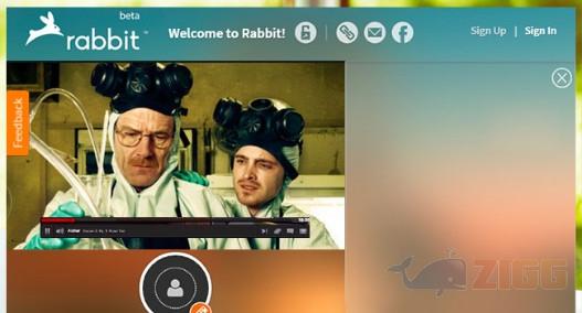 netflix-rabbit