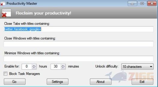 big 0a434340113d5f621fa97552a9fec304 productivity master pizSXLX 1