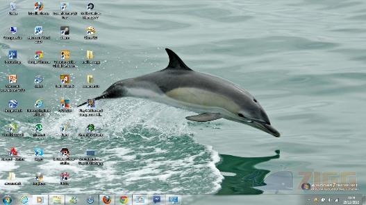 big b5e663fb97d13023e81b701ac95d7a78 dolphins windows 7 theme mKwZuvl 1